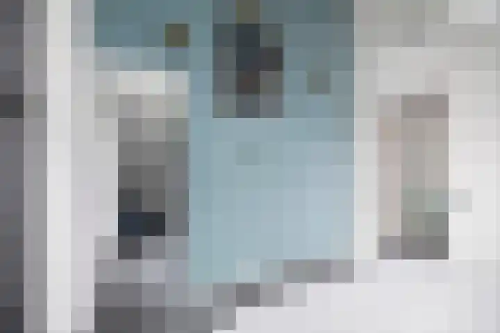 Veldwachter 12 Wesepe thumbnail 18