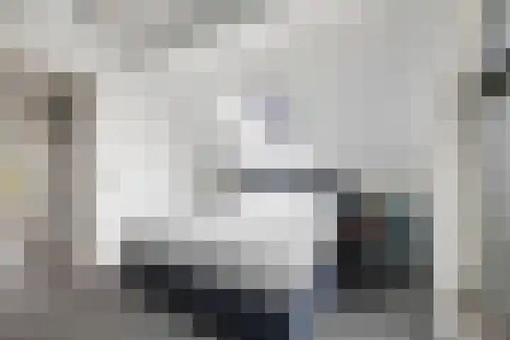 Veldwachter 12 Wesepe thumbnail 20