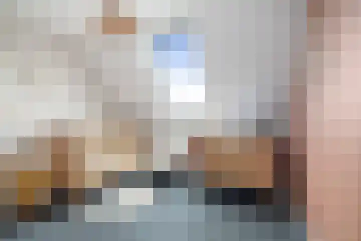 Veldwachter 12 Wesepe thumbnail 21
