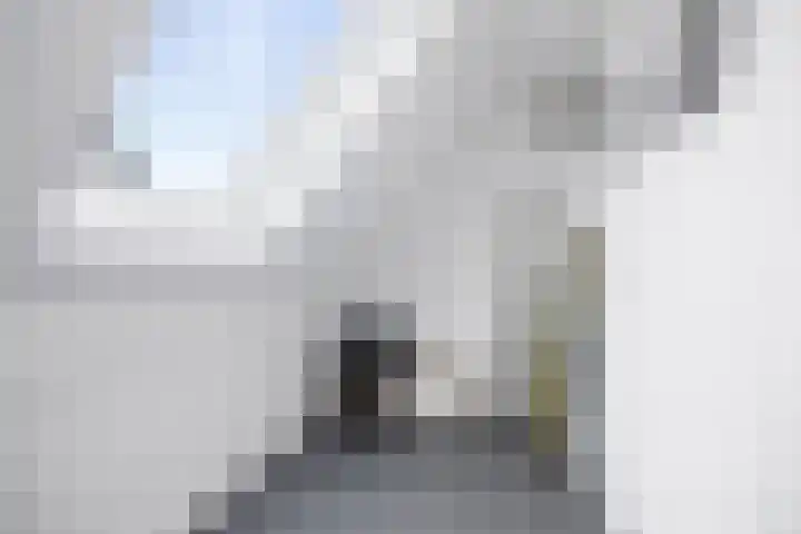 Veldwachter 12 Wesepe thumbnail 25
