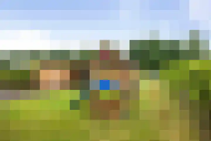 Veldwachter 12 Wesepe thumbnail 31
