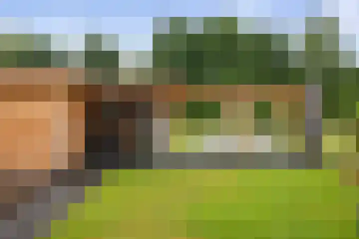 Veldwachter 12 Wesepe thumbnail 32