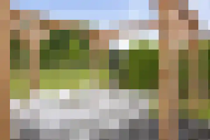 Veldwachter 12 Wesepe thumbnail 33