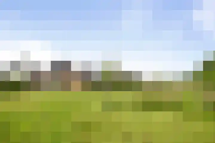 Veldwachter 12 Wesepe thumbnail 34