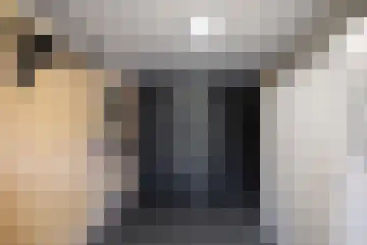 Veldwachter 12 Wesepe thumbnail 35