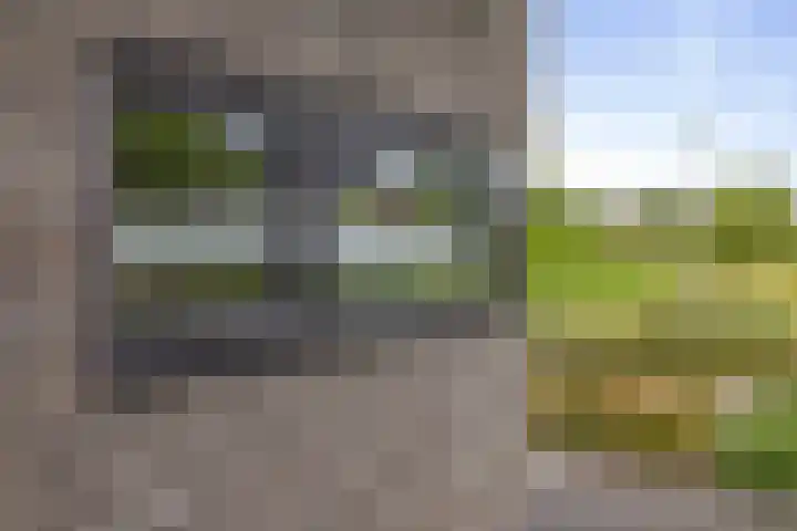 Veldwachter 12 Wesepe thumbnail 37