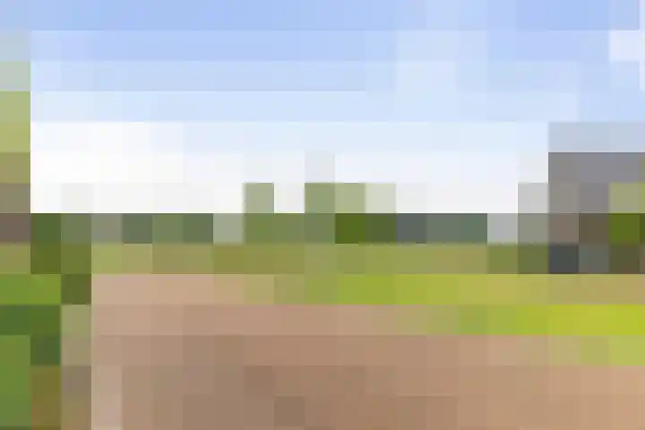 Veldwachter 12 Wesepe thumbnail 40