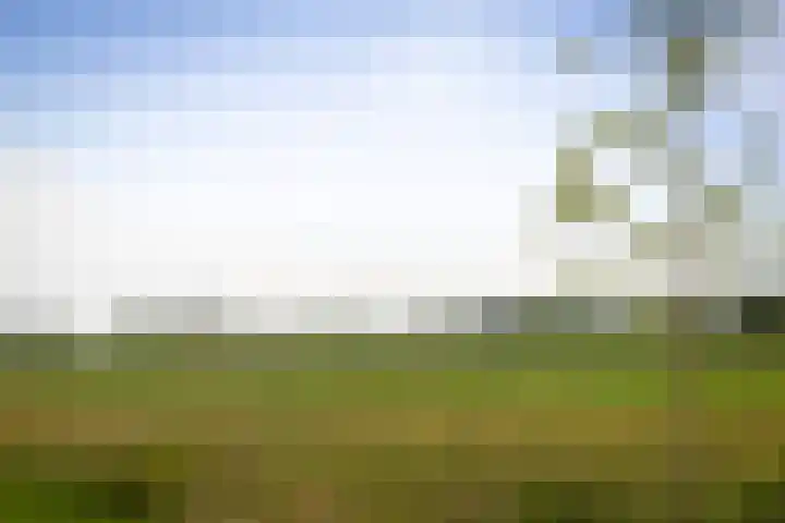 Veldwachter 12 Wesepe thumbnail 41