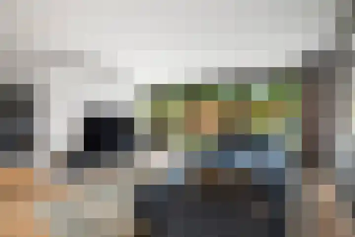 Veldwachter 12 Wesepe thumbnail 5