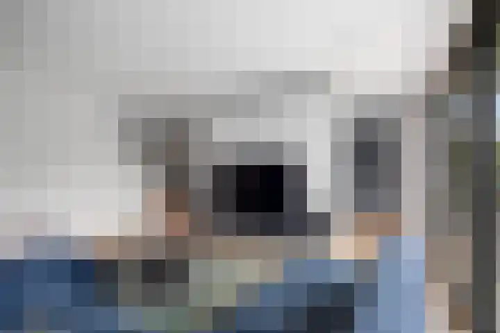 Veldwachter 12 Wesepe thumbnail 6