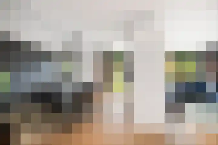 Veldwachter 12 Wesepe thumbnail 8