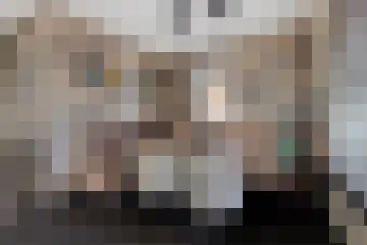 Veldwachter 2 Hendrik-Ido-Ambacht thumbnail 11