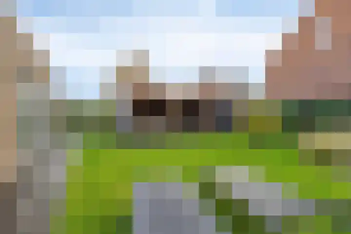 Veldwachter 2 Hendrik-Ido-Ambacht thumbnail 16