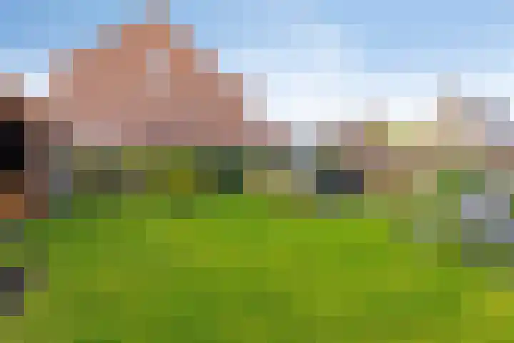 Veldwachter 2 Hendrik-Ido-Ambacht thumbnail 18