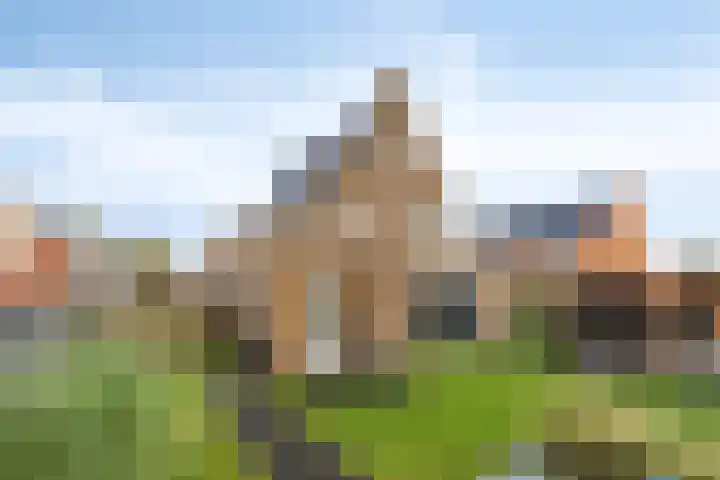 Veldwachter 2 Hendrik-Ido-Ambacht thumbnail 19