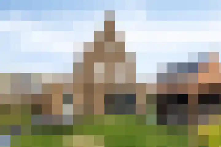 Veldwachter 2 Hendrik-Ido-Ambacht thumbnail 20