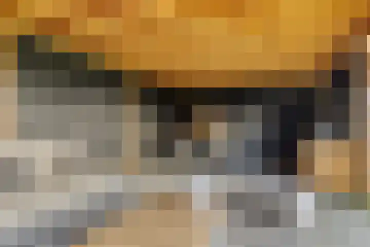 Veldwachter 2 Hendrik-Ido-Ambacht thumbnail 21