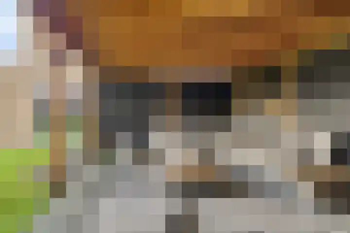 Veldwachter 2 Hendrik-Ido-Ambacht thumbnail 22