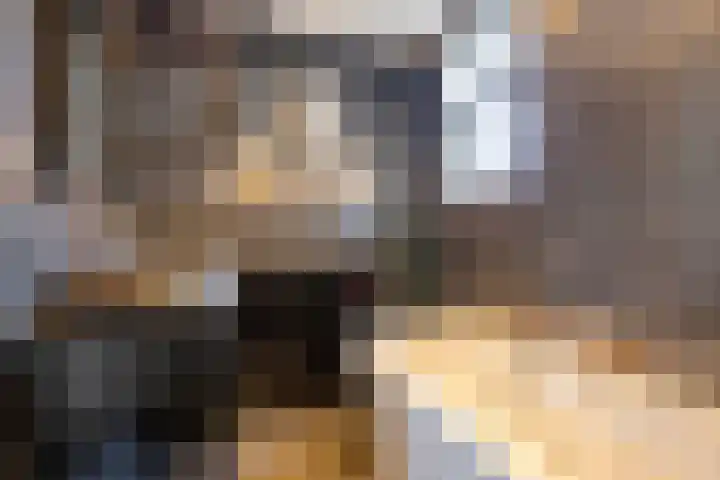Veldwachter 2 Hendrik-Ido-Ambacht thumbnail 24