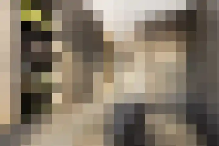 Veldwachter 2 Hendrik-Ido-Ambacht thumbnail 31