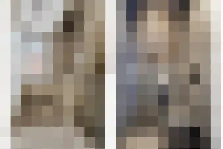 Veldwachter 2 Hendrik-Ido-Ambacht thumbnail 33