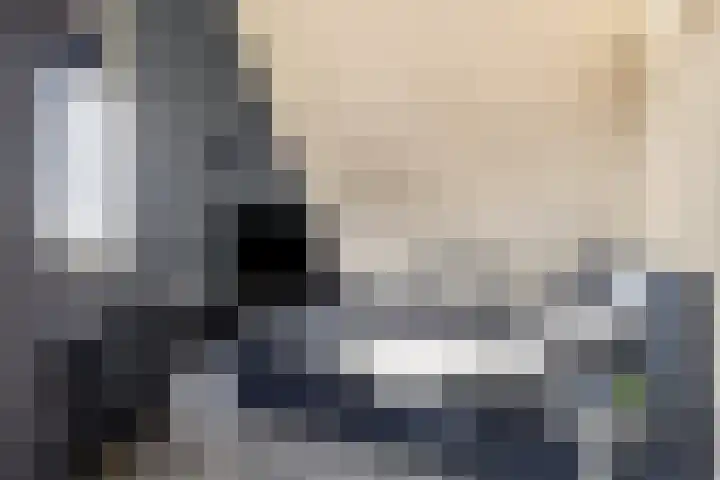 Veldwachter 2 Hendrik-Ido-Ambacht thumbnail 38