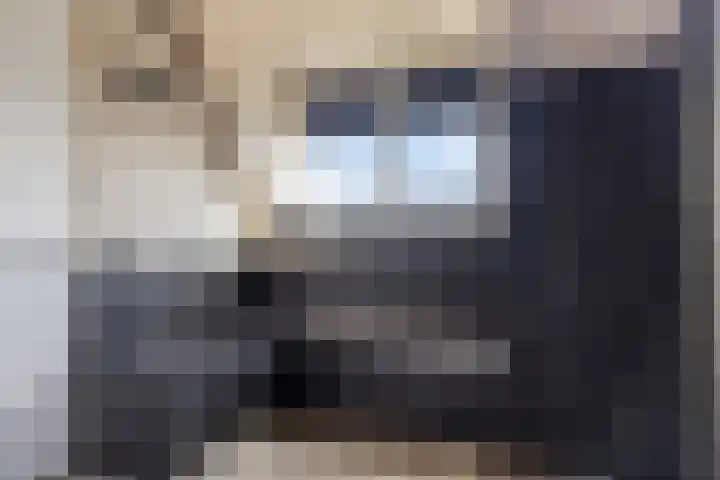 Veldwachter 2 Hendrik-Ido-Ambacht thumbnail 39