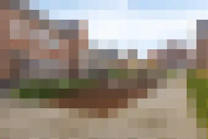 Veldwachter 2 Hendrik-Ido-Ambacht thumbnail 41