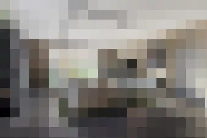 Veldwachter 2 Hendrik-Ido-Ambacht thumbnail 5