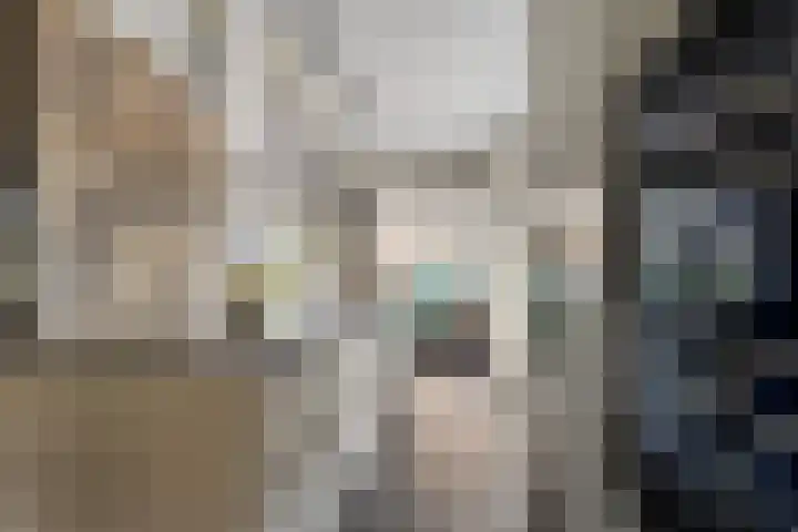 Veldwachter 2 Hendrik-Ido-Ambacht thumbnail 7
