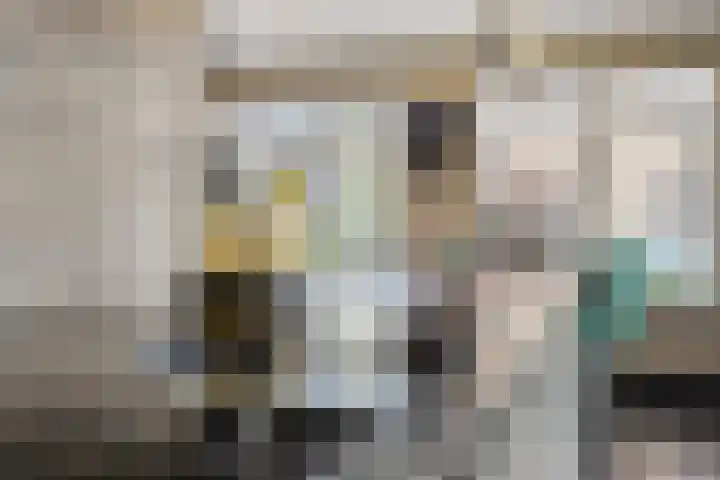 Veldwachter 2 Hendrik-Ido-Ambacht thumbnail 8