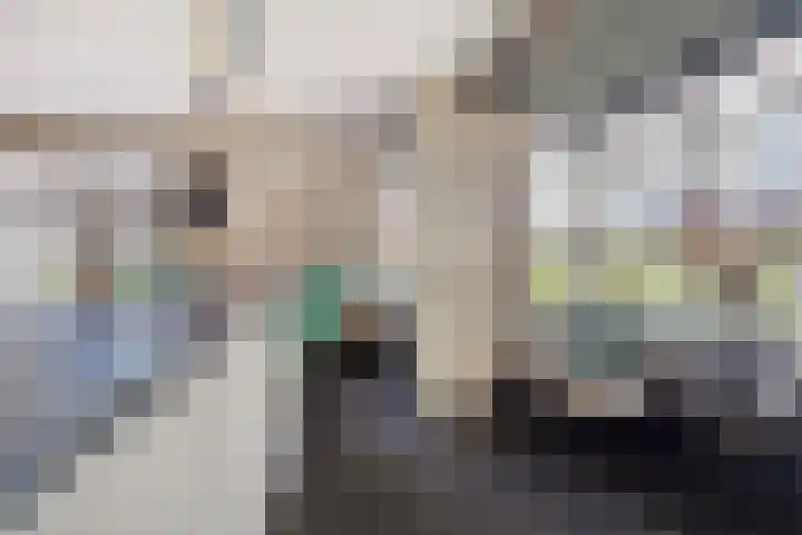 Veldwachter 2 Hendrik-Ido-Ambacht thumbnail 9
