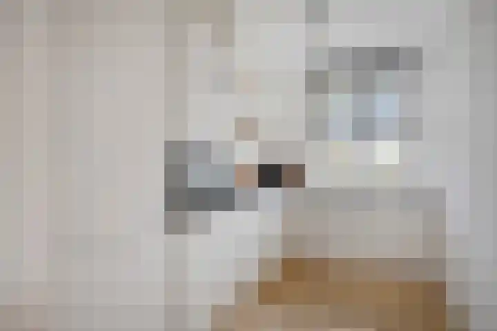 Veldwachter 22 Wijchen thumbnail 10