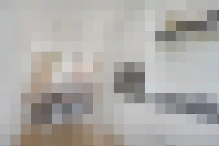 Veldwachter 22 Wijchen thumbnail 11