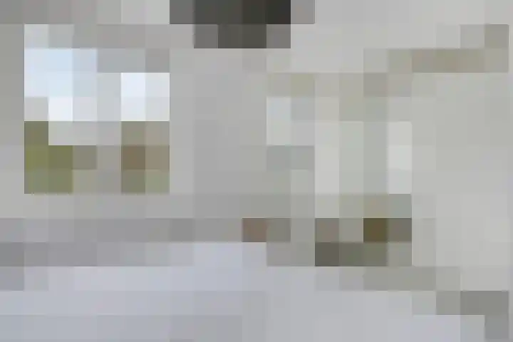 Veldwachter 22 Wijchen thumbnail 15