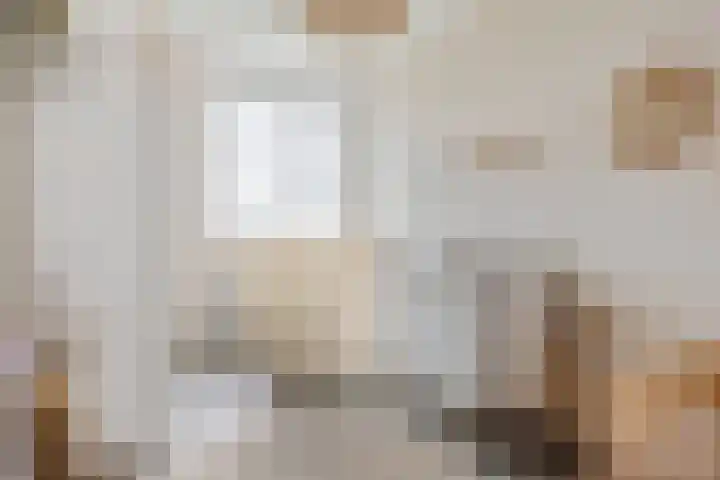 Veldwachter 22 Wijchen thumbnail 18