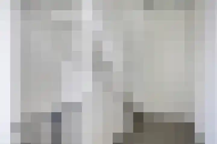 Veldwachter 22 Wijchen thumbnail 20
