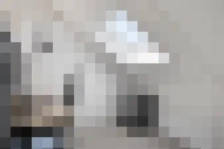 Veldwachter 22 Wijchen thumbnail 21