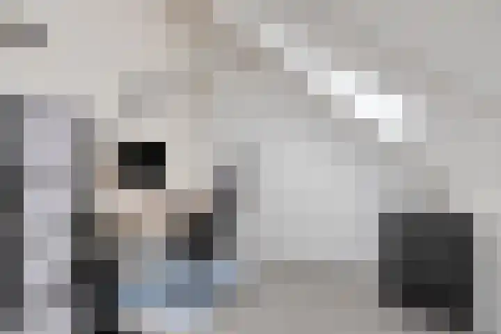 Veldwachter 22 Wijchen thumbnail 22