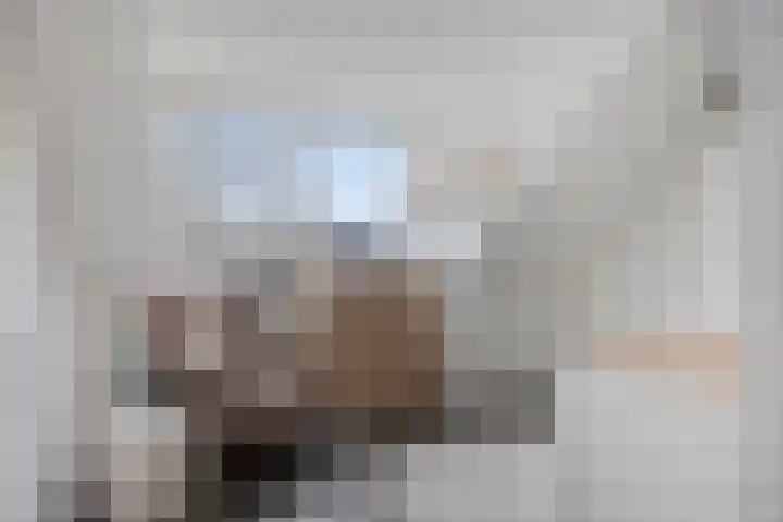 Veldwachter 22 Wijchen thumbnail 24