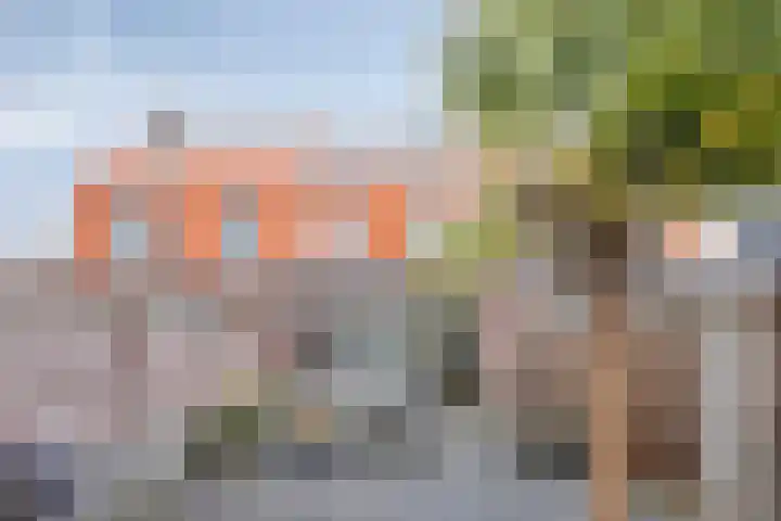 Veldwachter 22 Wijchen thumbnail 26
