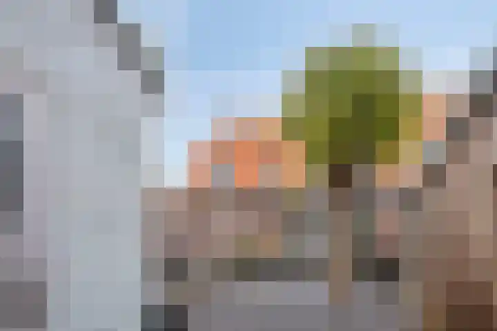 Veldwachter 22 Wijchen thumbnail 27
