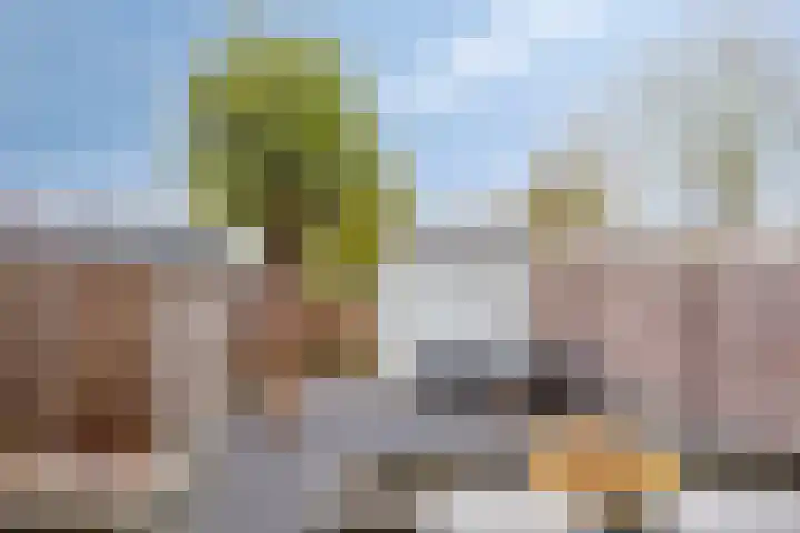 Veldwachter 22 Wijchen thumbnail 28