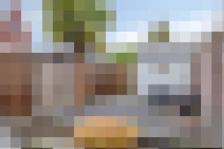 Veldwachter 22 Wijchen thumbnail 29