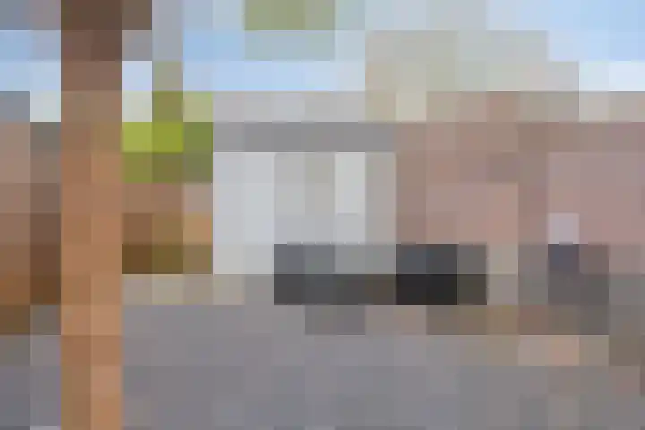 Veldwachter 22 Wijchen thumbnail 30