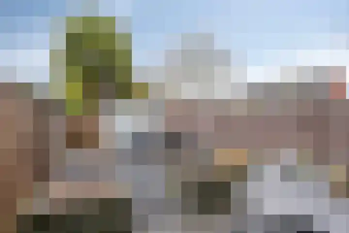 Veldwachter 22 Wijchen thumbnail 31