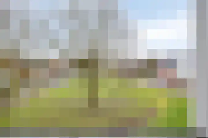Veldwachter 22 Wijchen thumbnail 33