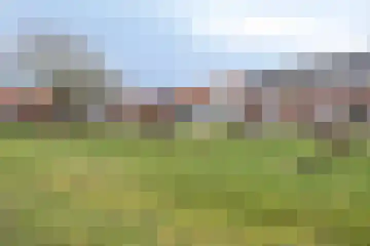 Veldwachter 22 Wijchen thumbnail 36