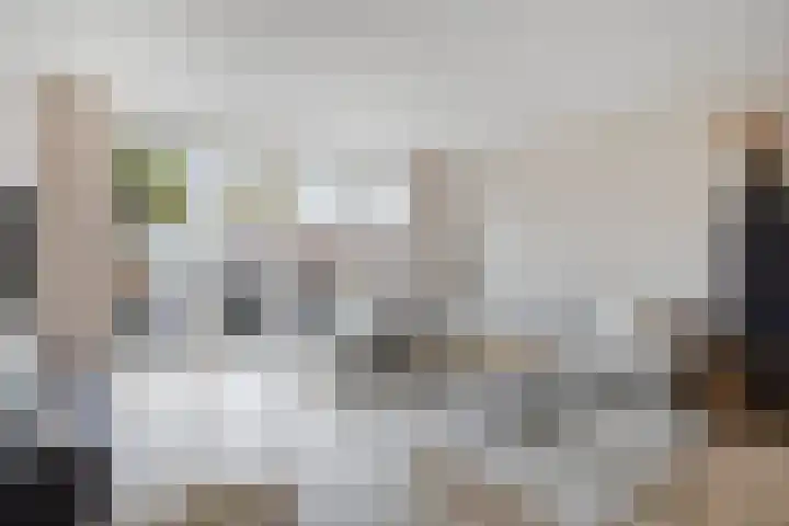 Veldwachter 22 Wijchen thumbnail 4
