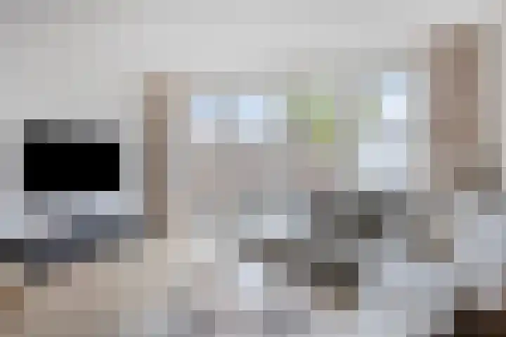 Veldwachter 22 Wijchen thumbnail 5